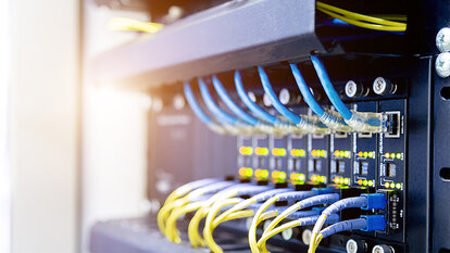 In einem Ethernet-Switch stecken mehrere blaue und gelbe Kabel.